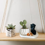 Siliconen bloempot gietvorm, set van 5