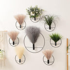 Droogbloemen wanddecoratie set – 5 cm