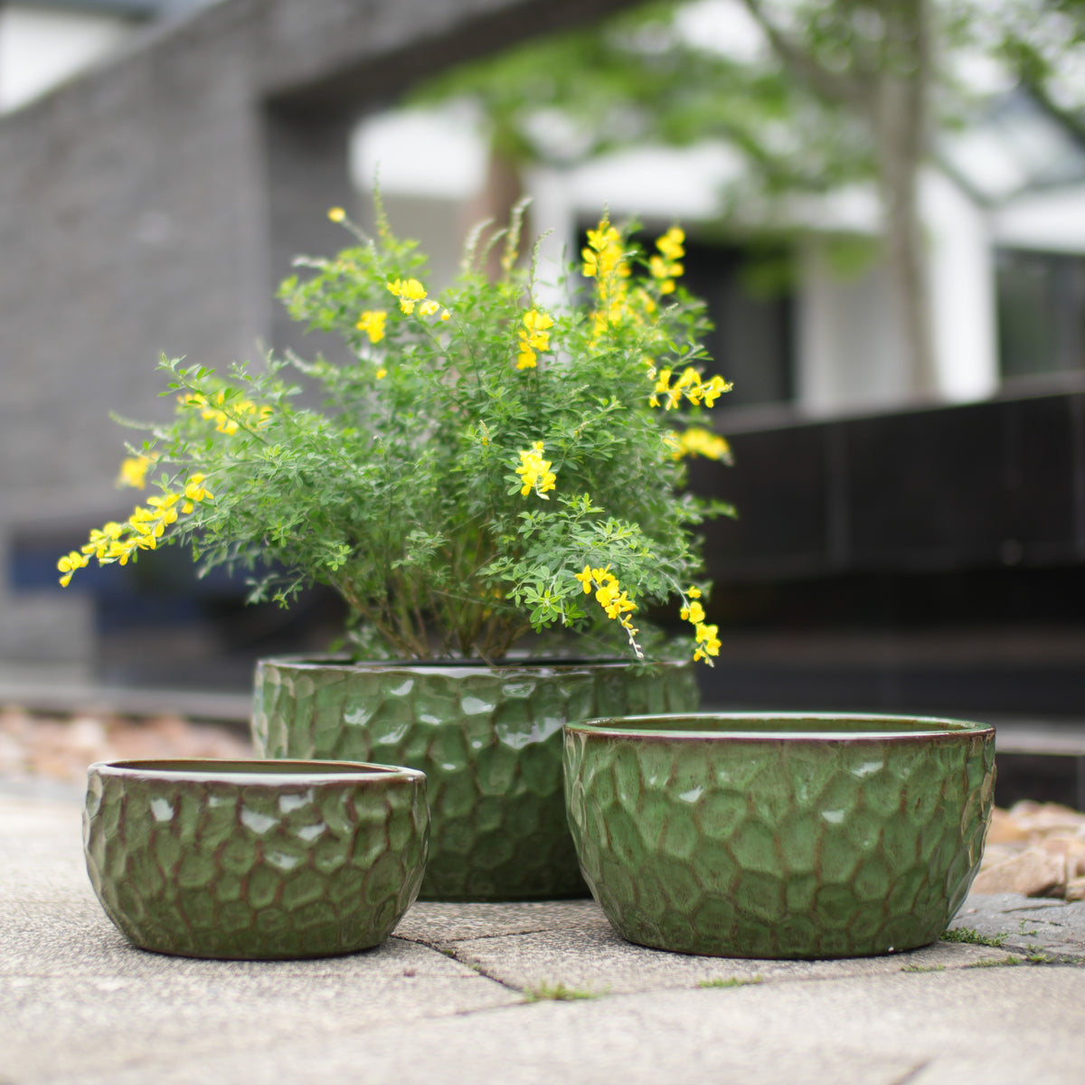 Bloempot keramiek groen – set van 3