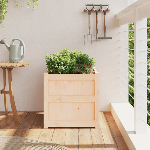 Plantenbak grenenhout wit – 50x50x50 cm